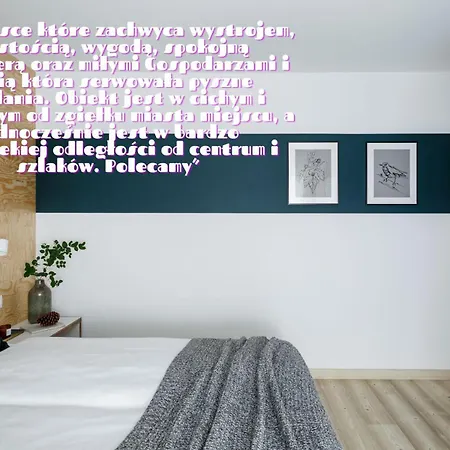 Dom Gory - Adults 11 - W Duchu Slow - Centrum - Bezplatny Parking - Piekny Ogrod 3*