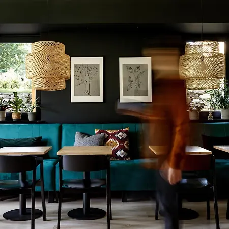 Affittacamere Dom Gory Las - Adults 11 Plus - W Rytmie Slow - Centrum - Bezplatny Parking - Sniadania 3*