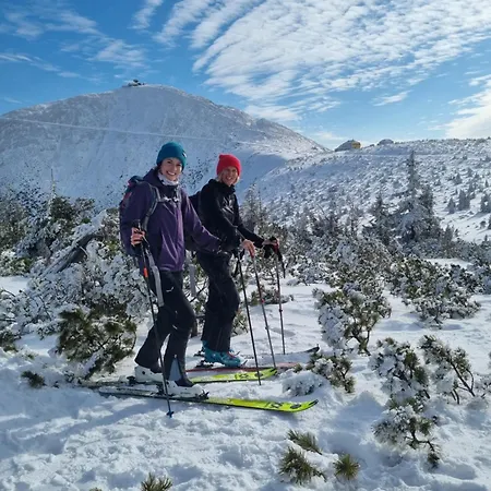 Dom Gory Las - Adults 11 Plus - W Rytmie Slow - Centrum - Bezplatny Parking - Sniadania 3*