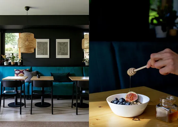 Dom Góry - Adults 11 - W Rytmie Slow - Centrum - śniadania - Taniej Na Stok I Do Restauracji - Zapytaj O Aktualną Promocję 3*